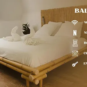 Appartement Balille, Lille